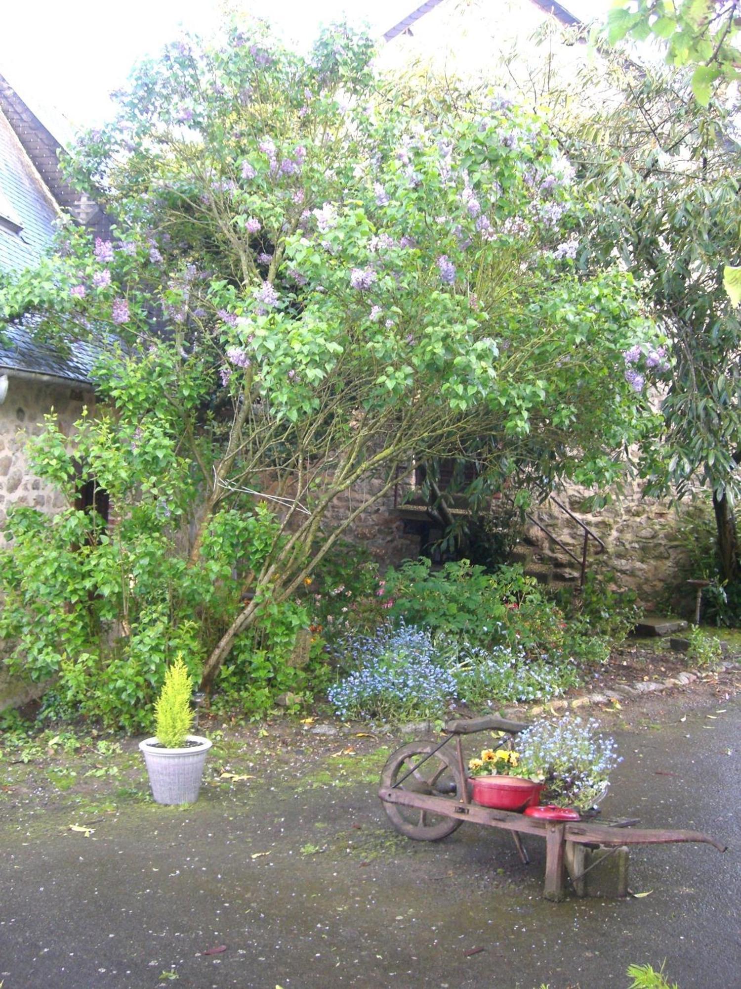 Chambres D'Hotes De La Ferme Auberge De Mesauboin Bille Luaran gambar